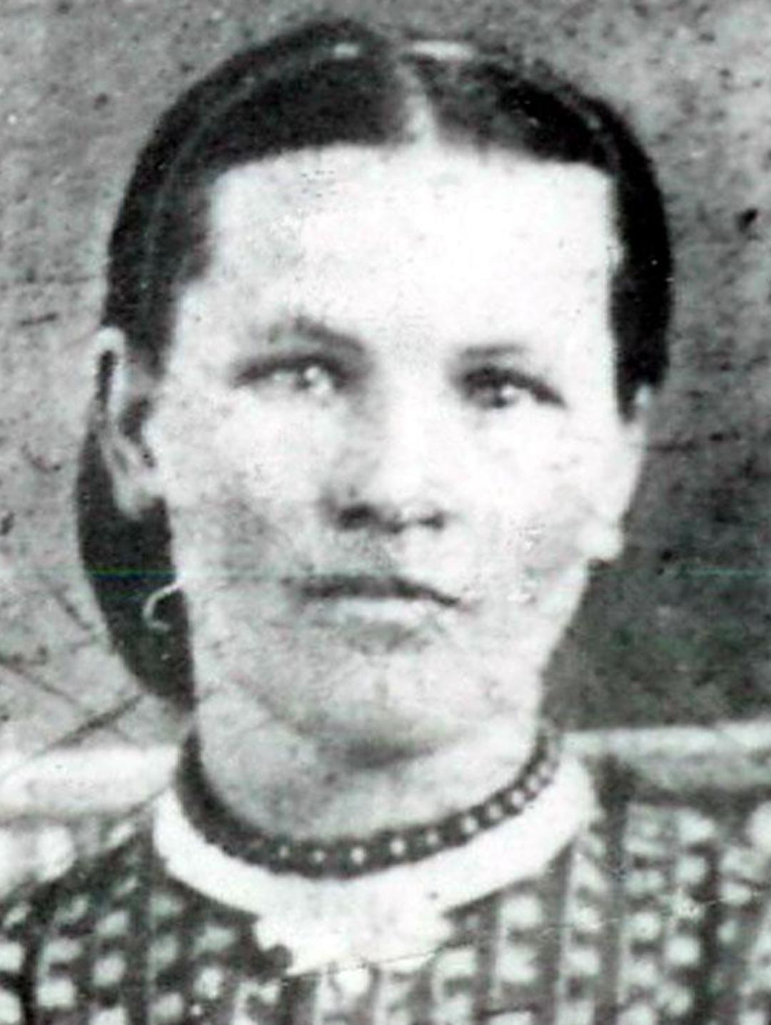 Alvira Aurelia Dickson (1846 - 1924) Profile